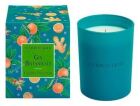 Gin Botanicals Scented Candle 250 gr Gin Botanicals Scented Candle 250 gr