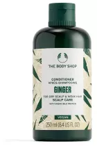 Ginger Conditioner