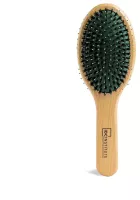 Oval Brush Double Bristle Brush 1 Unit